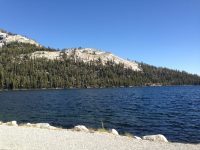 20140531-101734-37054913-jpg-2