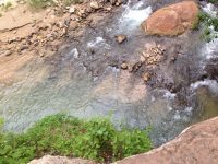 20140531-112228-40948330-jpg-2