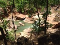 20140531-112229-40949011-jpg-2