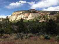 20140531-112232-40952545-jpg-2