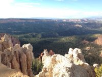 20140531-112426-41066753-jpg-2