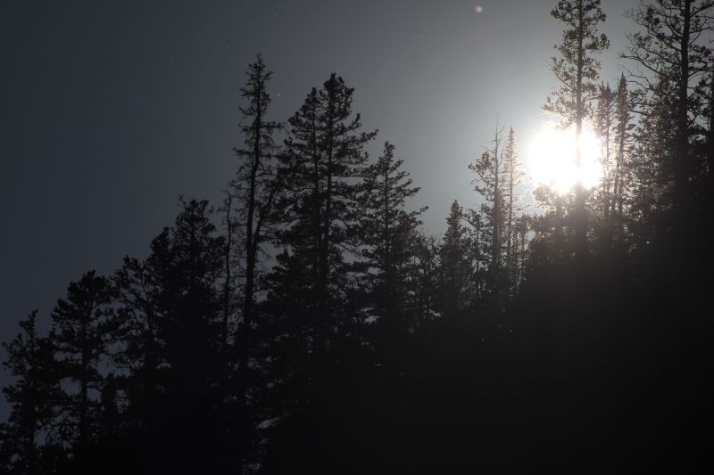sonne1-2